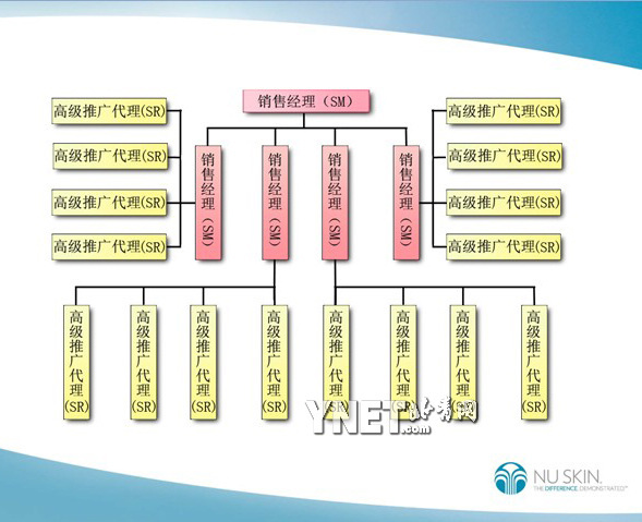 如新代理組織結構圖